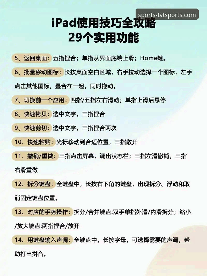 tvt体育正规平台使用教程：从下载安装到功能体验的完整操作指南
